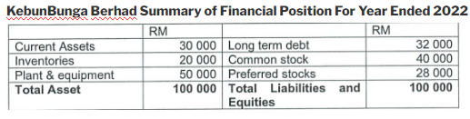 BAFB1013 Principles of Finance Assignment