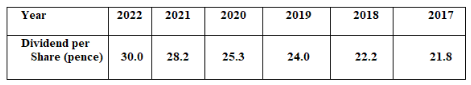 UGB363 strategic corporate finance Assignment