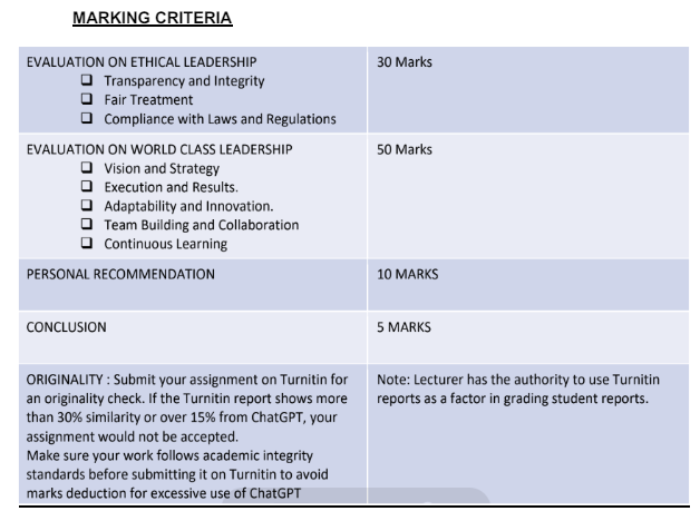 Assignment Essay MGT3333